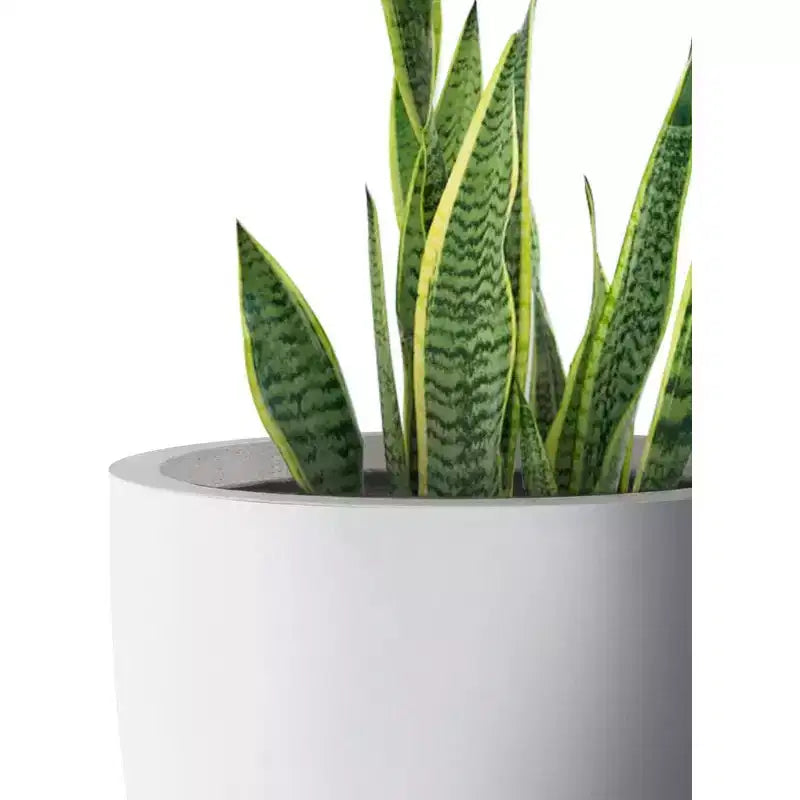 Jardinière extérieure en béton pour jardin Blanc craie 53 x 53 x 51 cm