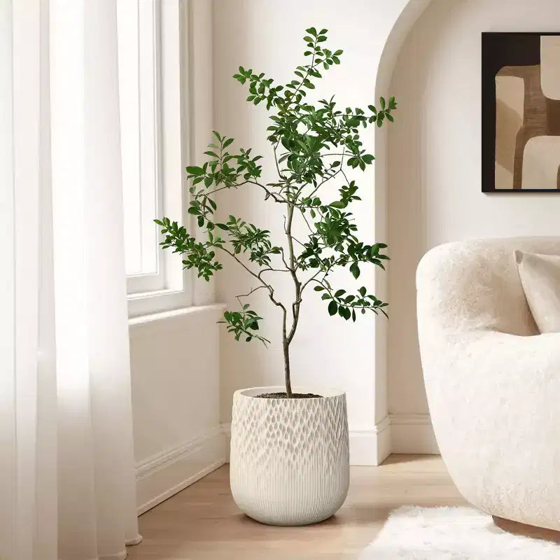 LuxenHome Jardinière ronde antique blanc cassé, texture dégradée foncée à claire, design conique