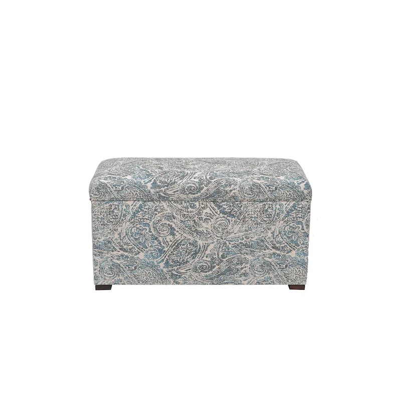 Angela Transitional Living Room Storage Trunk Bench